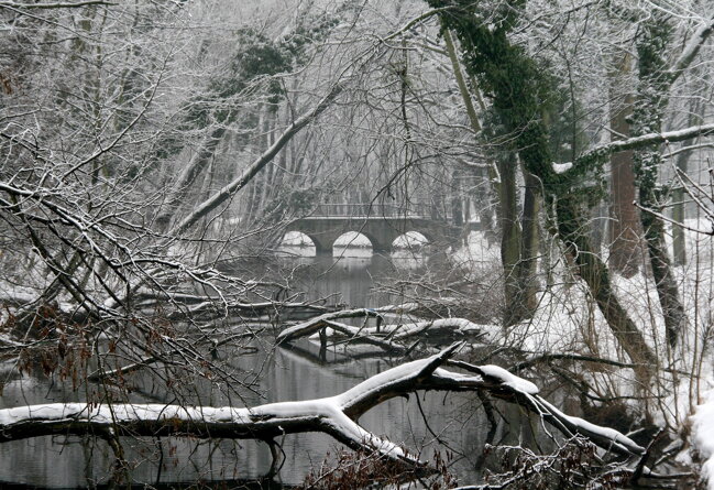 Rusovský park